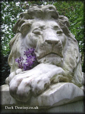 Abney Park Lion