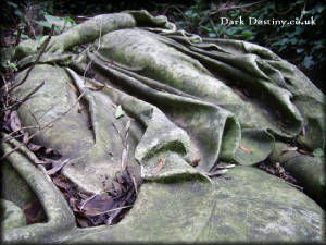 Abney Park Cemetery