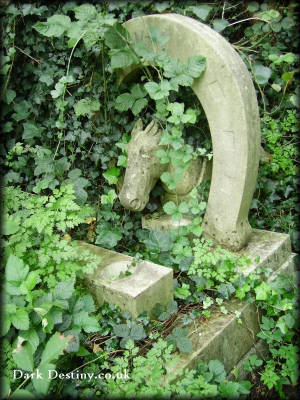 Abney Park Cemetery