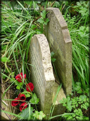 Abney Park Cemetery