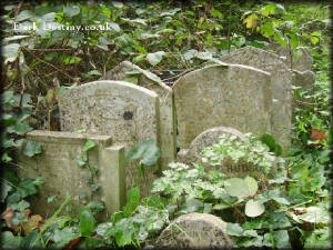 Abney Park Cemetery