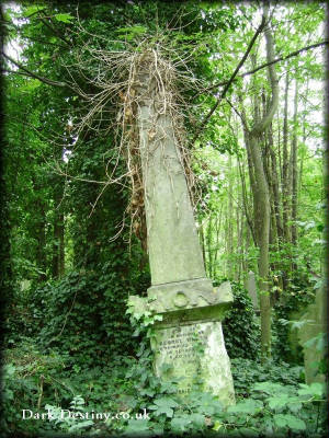 Abney Park Cemetery