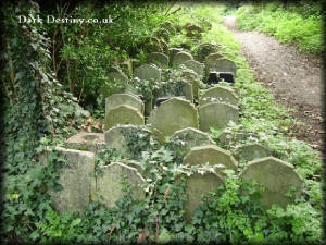 There are hundreds of small headstones like these