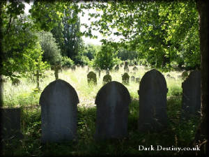 Brockley & Ladywell Cemetery