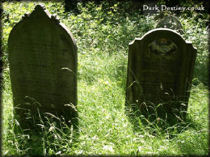 Brockley & Ladywell Cemetery