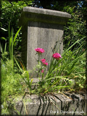 Brockley & Ladywell Cemetery