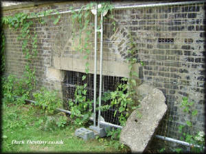 Disused Catacomb