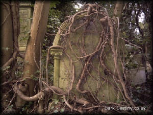 Highgate Cemetery