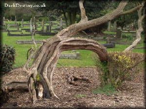 East Finchley Cemetery