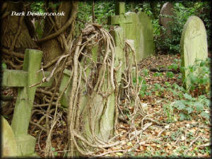 East Highgate Cemetery