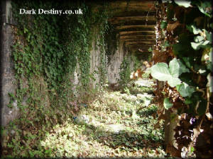 Colonnade Catacombs