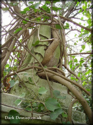 Nunhead Cemetery