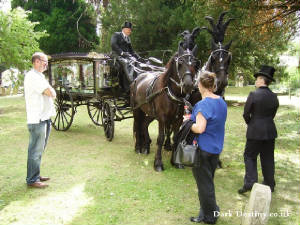 Horse Drawn Hearse