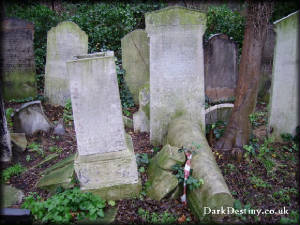 Tower Hamlets Cemetery