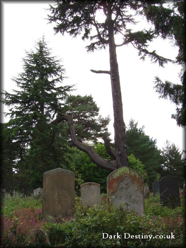 Brookwood Cemetery